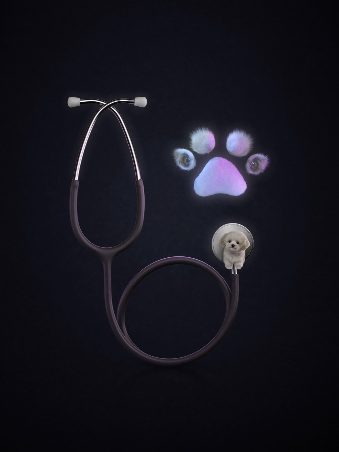 Render 3D de estetoscopio y huella de mascota para veterinaria